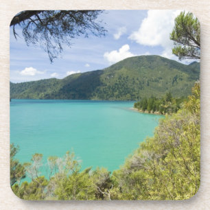 Nieuw-Zeeland, Zuidereiland, Marlborough Sounds. Bier Onderzetter