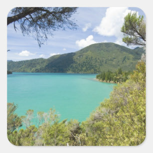 Nieuw-Zeeland, Zuidereiland, Marlborough Sounds. Vierkante Sticker