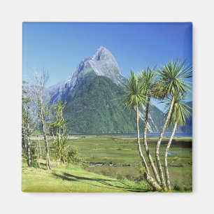 Nieuw-Zeeland, Zuidereiland, Mitre Peak, Magneet