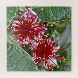 Nieuw-Zeelandse Blooming van Feijoa Legpuzzel