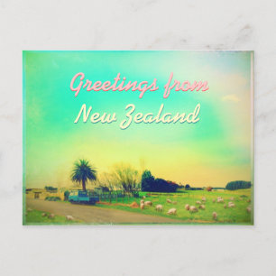 Nieuw-Zeelandse boerderijen van schapen Briefkaart