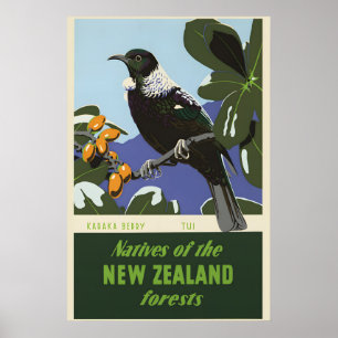 Nieuw-Zeelandse bosvogel Karaka-bes jaren 50 vinta Poster