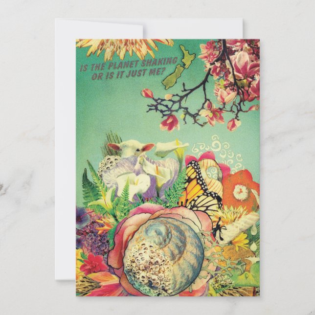 Nieuw-Zeelandse collage (Voorkant)