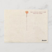 Nieuw-Zeelandse  kaart (Achterkant)