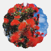 Nieuw-Zeelandse kerstboom Ornament Kaart (Voorkant)