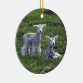 Nieuw-Zeelandse lammeren Keramisch Ornament (Rechts)