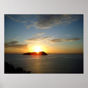 Nieuw-Zeelandse Posters