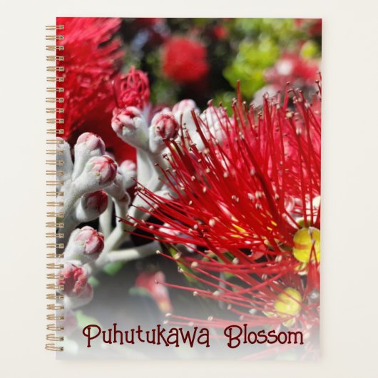 Nieuw-Zeelandse rode kerstboom Blossom Planner (Voorkant)