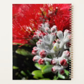 Nieuw-Zeelandse rode kerstboom Blossom Planner (Achterkant)