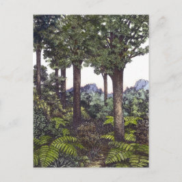 Nieuw-Zeelandse Struik Briefkaart