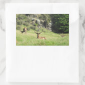 Nieuw-Zeelandse tags (Tas)