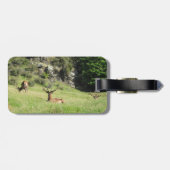 Nieuw-Zeelandse tags Bagagelabel (Achterkant horizontaal)