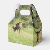 Nieuw-Zeelandse tags Bedankdoosjes (Achterkant)