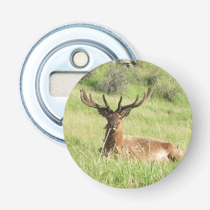 Nieuw-Zeelandse tags Button Flesopener