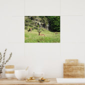 Nieuw-Zeelandse tags Poster (Keuken)