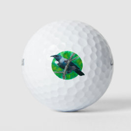 Nieuw-Zeelandse Tui - Schilderen in acryl Golfballen