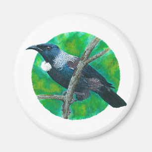 Nieuw-Zeelandse Tui - Schilderen in acryl Magneet