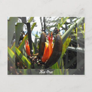 Nieuw-Zeelandse vlasbloesems Briefkaart