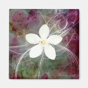 Nieuwe 5 grote vierkante magneet