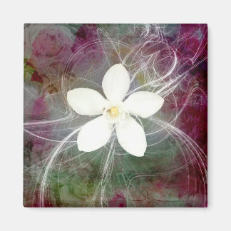 Nieuwe 5 grote vierkante magneet