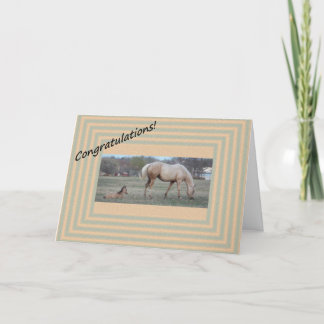 Nieuwe aankomst kaart