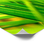 (Nieuwe aankomst) Poster afdrukken (Hoek)