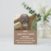 Nieuwe aankondiging adresverplaatsing (Staand voorkant)