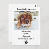 Nieuwe aankondiging van Pet Dog Briefkaart (Voorkant / Achterkant)