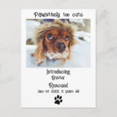 Nieuwe aankondiging van Pet Dog Briefkaart (Voorkant)