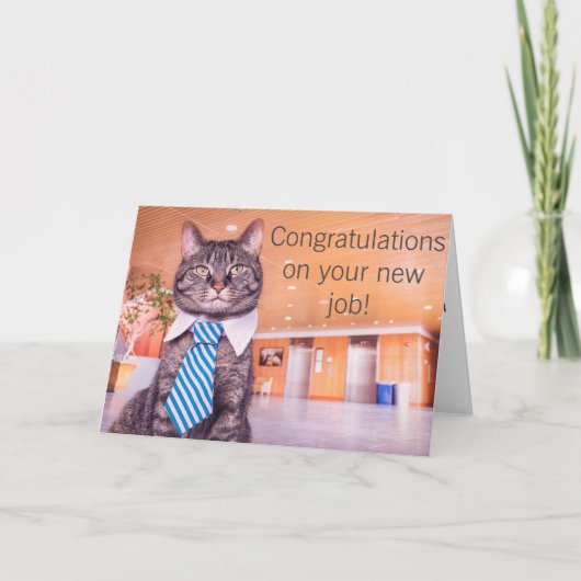 Nieuwe baan kat wenskaart kaart (Voorkant)