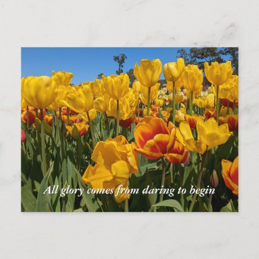 Nieuwe Beginnen Lentegele Tulp Bloemen Briefkaart (Voorkant)