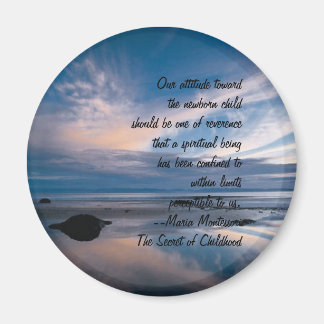 Nieuwe bovenliggende magneet Set 4 van 5