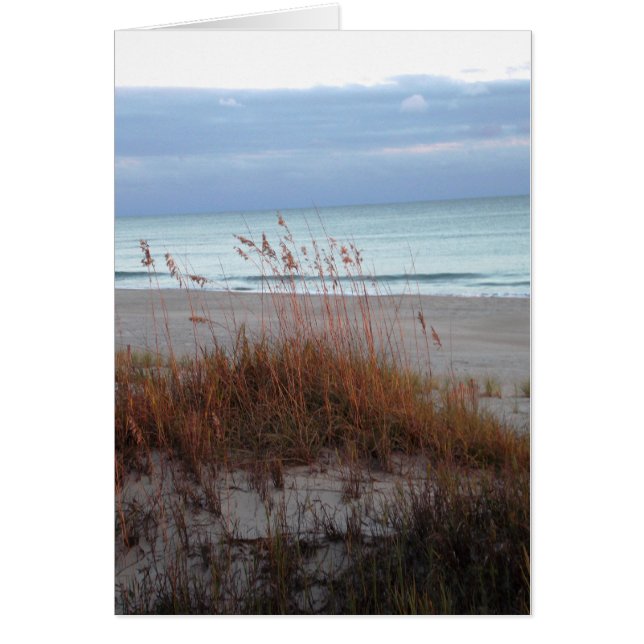 Nieuwe Dunes (Voorkant)