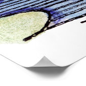 NIEUWE ENGLAND KAART 1677 POSTER (Hoek)