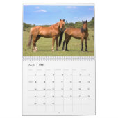 Nieuwe Forest Ponies Kalender (Mar 2026)