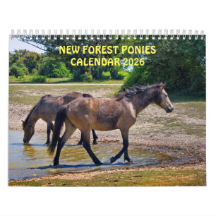 Nieuwe Forest Ponies Kalender