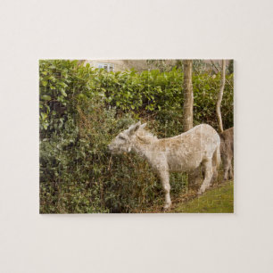 Nieuwe foto-jigzaag van Forest Pony roaming Legpuzzel