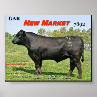 NIEUWE GAR-MARKT POSTER