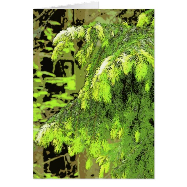 Nieuwe groei (Voorkant)