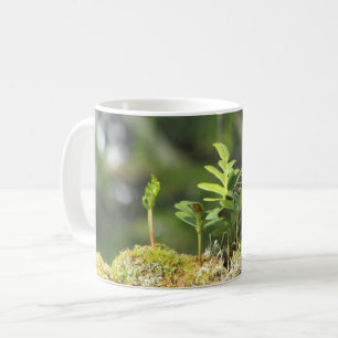 Nieuwe Groei Fern Moss Natuur Enthusiast Green Pla Koffiemok