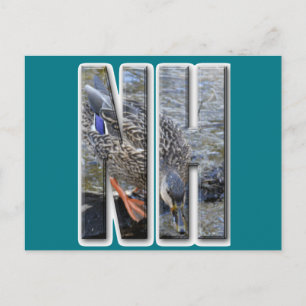 NIEUWE HAMPSHIRE BRIEFKAART