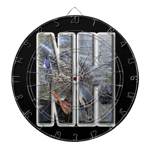 NIEUWE HAMPSHIRE DARTBORD (Voorkant)