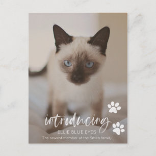 Nieuwe Kitten of Cat Aankondiging Kaart