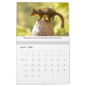 Nieuwe levensles Funny Squirrel Calendar Kalender (Mar 2026)