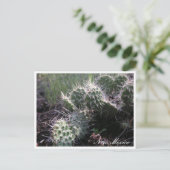 Nieuwe Mexicaanse Cactus Briefkaart (Staand voorkant)