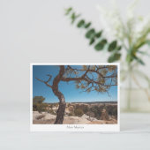 Nieuwe Mexicaanse landschapsfoto Briefkaart (Staand voorkant)