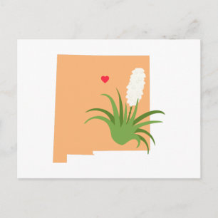 Nieuwe Mexico-staat Briefkaart
