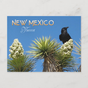 Nieuwe Mexico State Flower: Yucca Flower Briefkaart