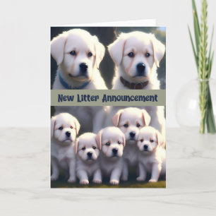 Nieuwe nestaankondiging White Dogs Bedankkaart