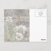 Nieuwe ogen briefkaart (Achterkant)